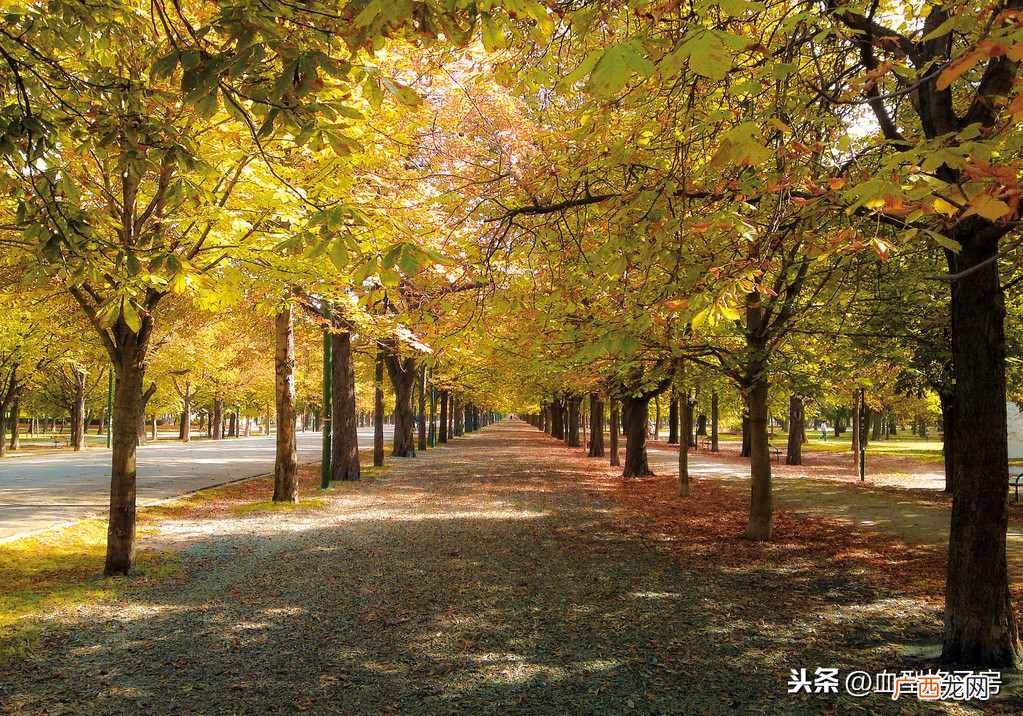 超准确的12星座性格分析 星座月份表性格解读