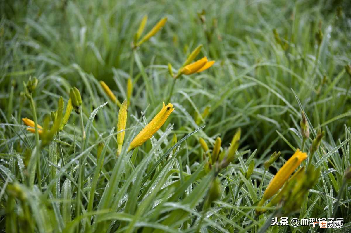超准确的12星座性格分析 星座月份表性格解读
