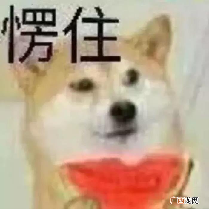 张钧甯咋就被邱泽看上了呢 郭富城张钧甯
