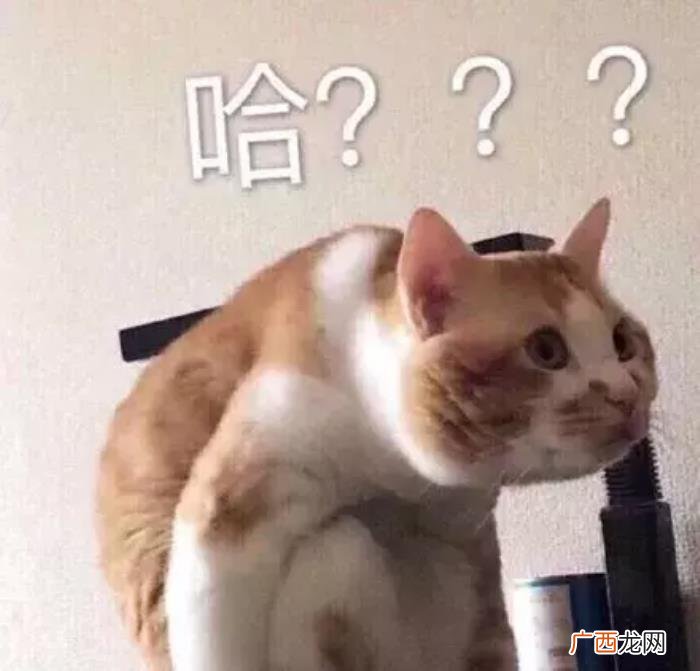 张钧甯咋就被邱泽看上了呢 郭富城张钧甯