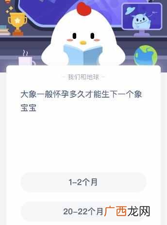 大象一般怀孕多久才生一个象宝宝？ 蚂蚁庄园今日答案5月8日