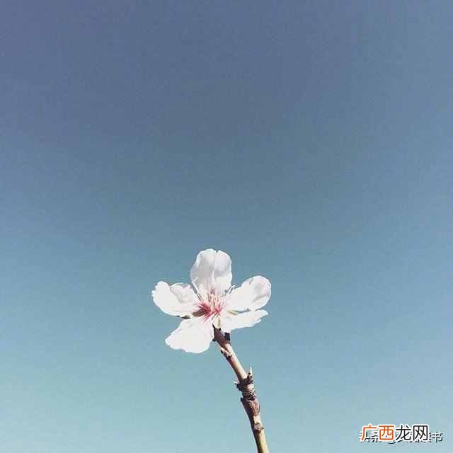 恍然大悟的句子 恍然大悟