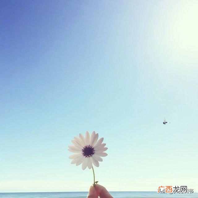 恍然大悟的句子 恍然大悟