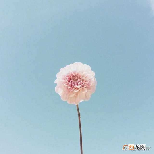 恍然大悟的句子 恍然大悟