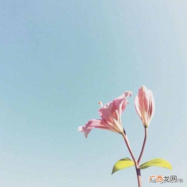 恍然大悟的句子 恍然大悟