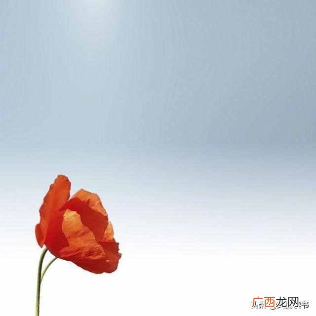恍然大悟的句子 恍然大悟
