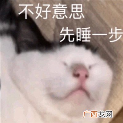 最新搞笑可爱猫咪聊天表情包