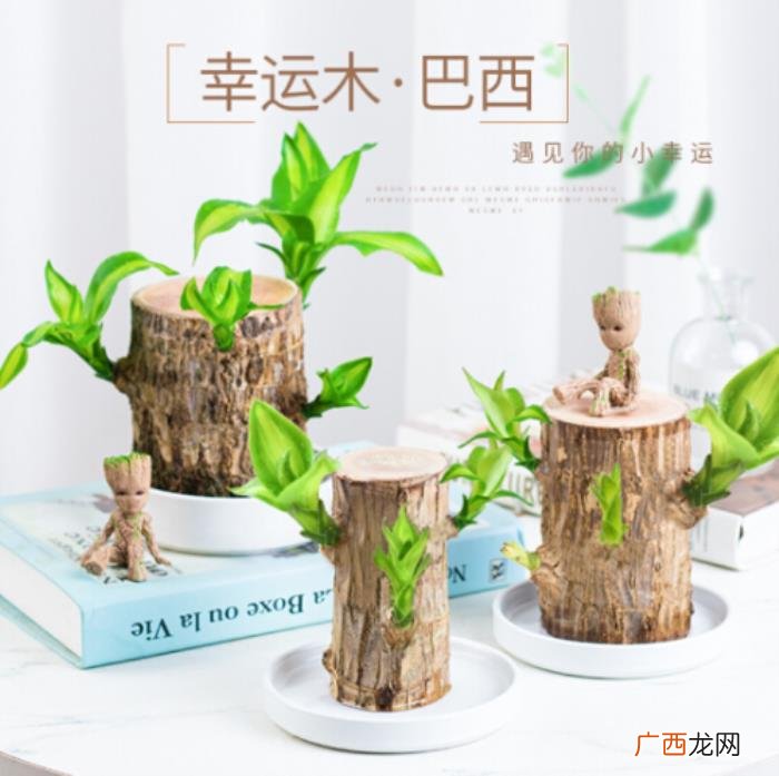 送男人礼物前十件排名，这十款礼物让他终身难忘