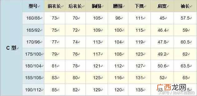 详解服装尺寸对照表 标准l码是多大尺寸