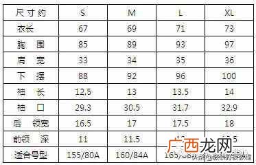 服装尺码详细参数分析 衣服的尺码l是多大号