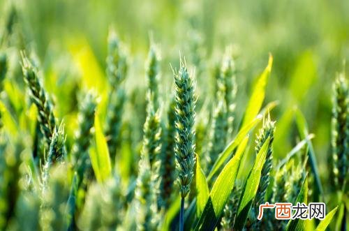 2020年50个创业新项目 2019年创业十大前景行业