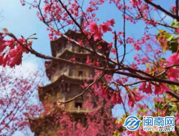 正月十五祝福语简短 八月十五说说