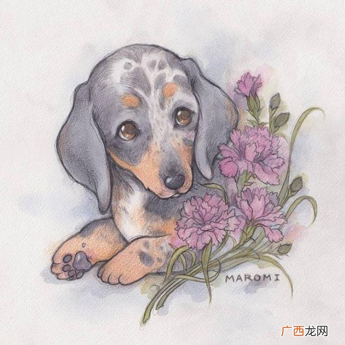晚安幽默搞笑的句子 幽默的说晚安