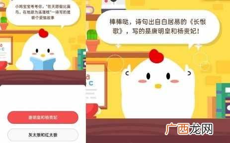 大熊猫爱吃的竹子，实际上是什么？蚂蚁庄园5月10日庄园小课堂答案