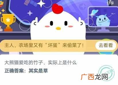 蚂蚁庄园5月10日今日答案 大熊猫爱吃的竹子，实际上是什么？