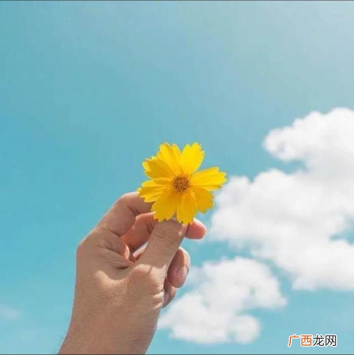 写给自己的心情短语句子 心情短语