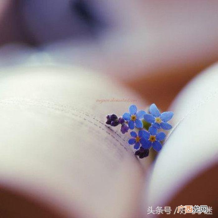 QQ经典说说带图片 qq说说图片