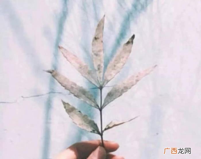 闺蜜一辈子的说说经典 闺蜜说说