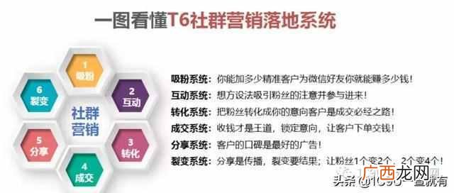 个人怎么做新零售创业项目（超详细一份新零售