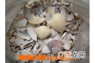 瓦楞子图片 中药瓦楞子的功效与作用