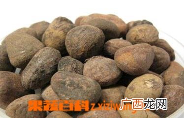大枫子图片 中药大枫子的功效与作用