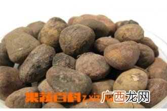 大枫子图片 中药大枫子的功效与作用