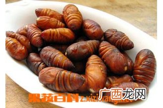 蚕蛹胶囊图片 蚕蛹胶囊的功效与作用