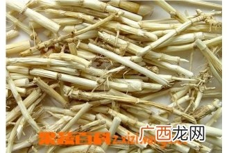 白茅根图片 白茅根的功效与作用
