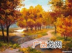 创业机会根据创业类型可分为,网络创业机会的类型