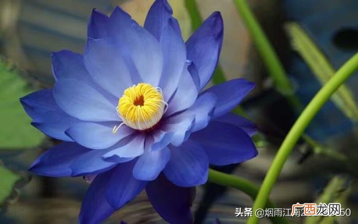 重感情的人是什么性格，太重感情的人都有这些特点