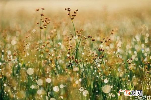 老婆怎么做才能让老公不出轨这样做让老公不敢出轨