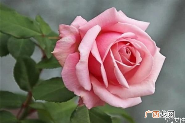 婚外情维持多久会分手婚外情分手了会复合吗