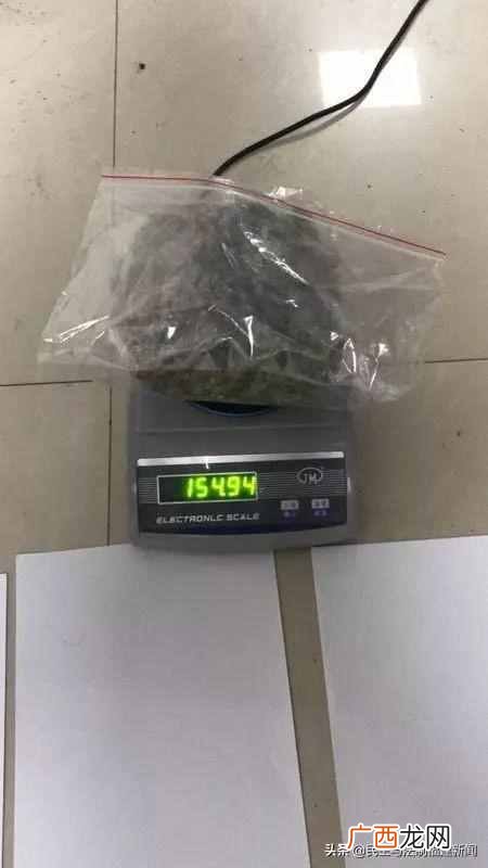 租植物多少钱一个月，成都室内租植物