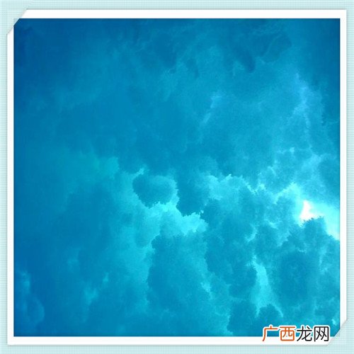 酸梗 我酸了什么意思