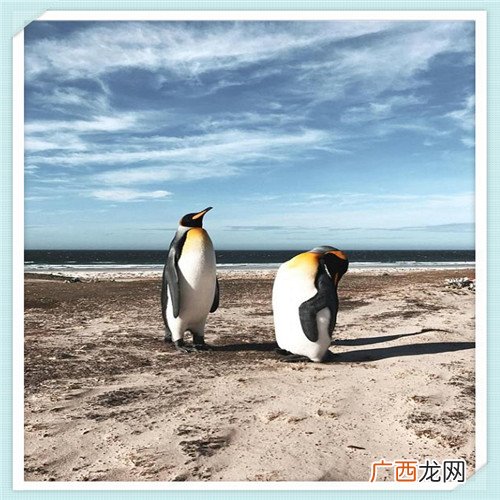 迪奥口红咋样 迪奥润唇膏和口红的区别