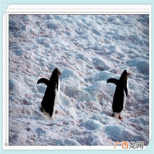 闻堰二手房 闻堰农村房子