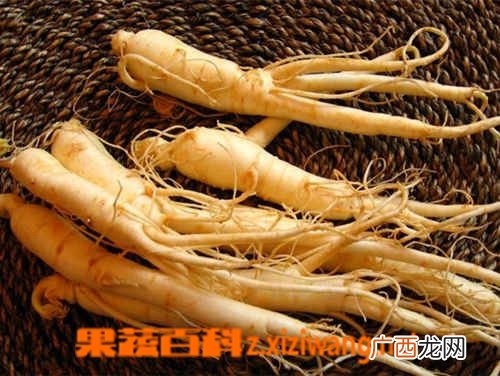 常吃人参的功效与作用