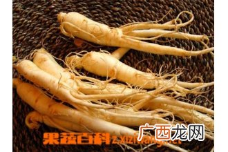 常吃人参的功效与作用