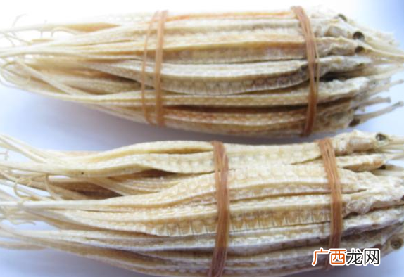 海龙是什么 海龙的功效与药用作用