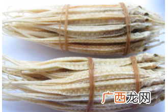 海龙是什么 海龙的功效与药用作用