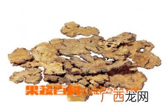 川芎图片 川芎的功效与作用