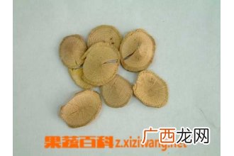 中药关木通的功效与作用