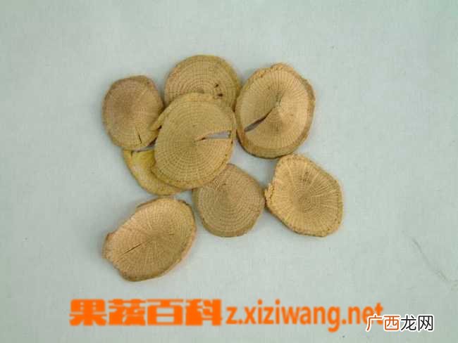 中药关木通的功效与作用