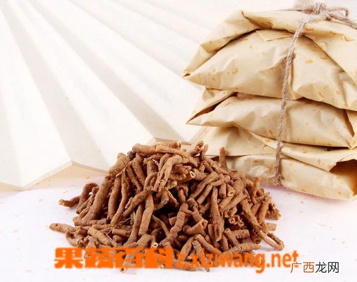 远志药用价值 远志的功效与作用