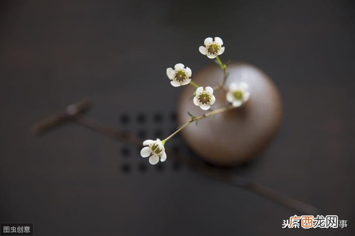唐朝二十四茶具，唐朝茶具如何繁荣发展