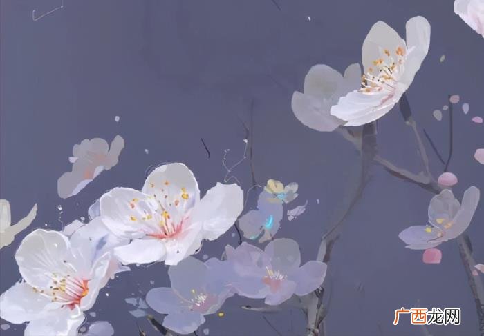 追女孩子的话，给正在追求女孩子的晚安句子
