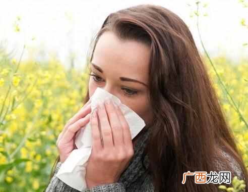 枸杞的功效与作用？16种功效全解析