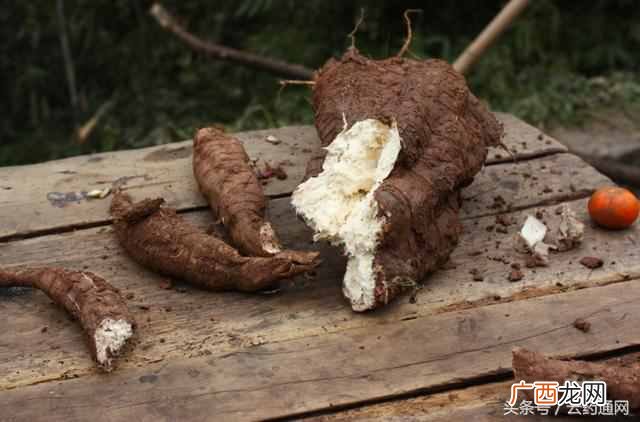 葛根的功效与作用？葛根粉的6种吃法