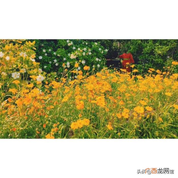 射手女白羊男，白羊男和射手女合适吗