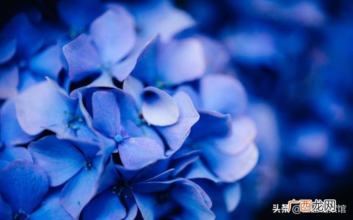 射手女白羊男，白羊男和射手女合适吗